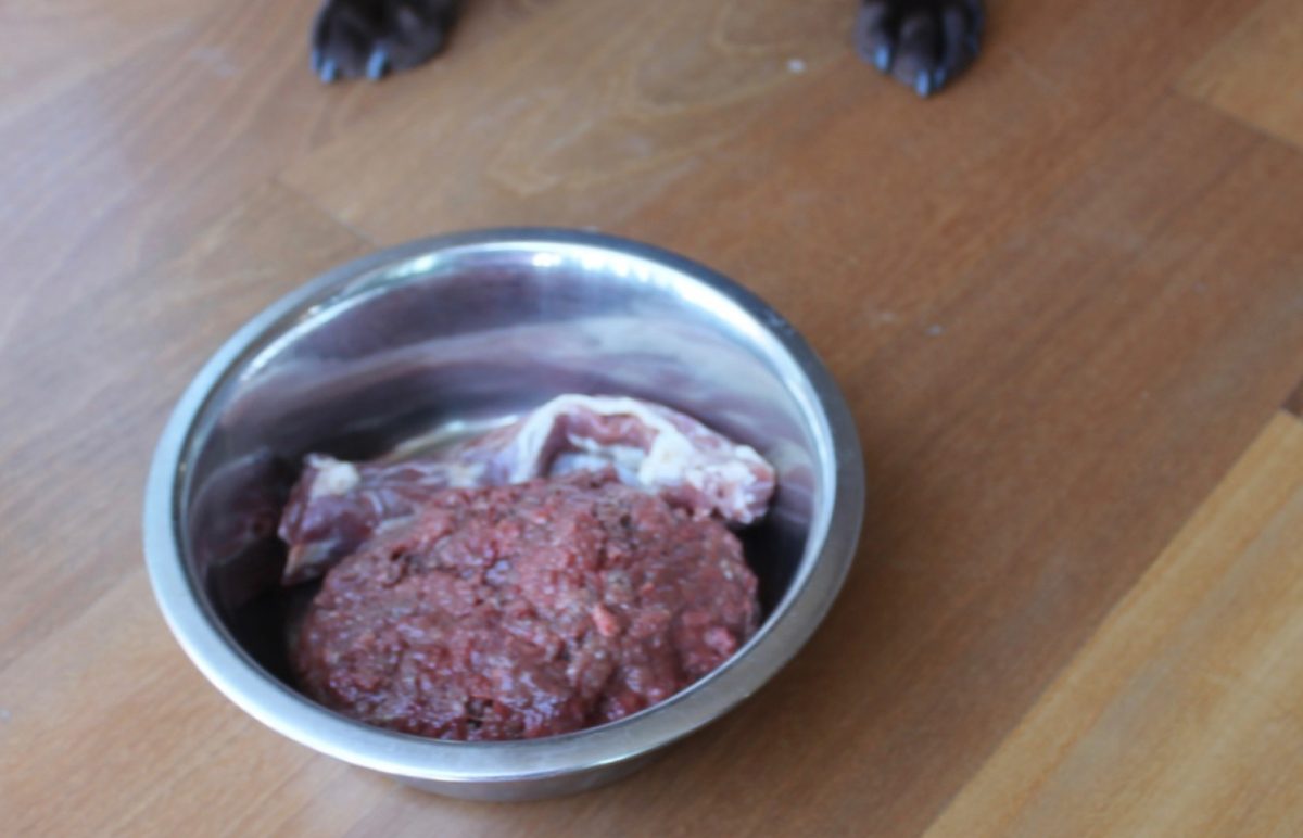 Bowl of Meat - Pure Life Raw Pet Food