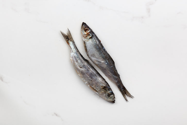 Raw Herring - Meaty Pet Bones - Pure Life Raw