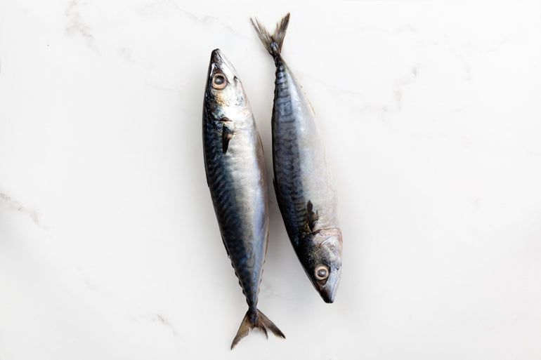 Raw Mackerel - Meaty Pet Bones - Pure Life Raw