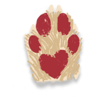 Paw Illustration